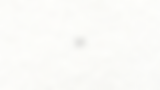 WSA Website Design V2 (6).png