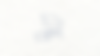 WSA Website Design V2 (28).png
