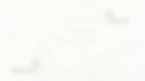 WSA Website Design V2 (1).png