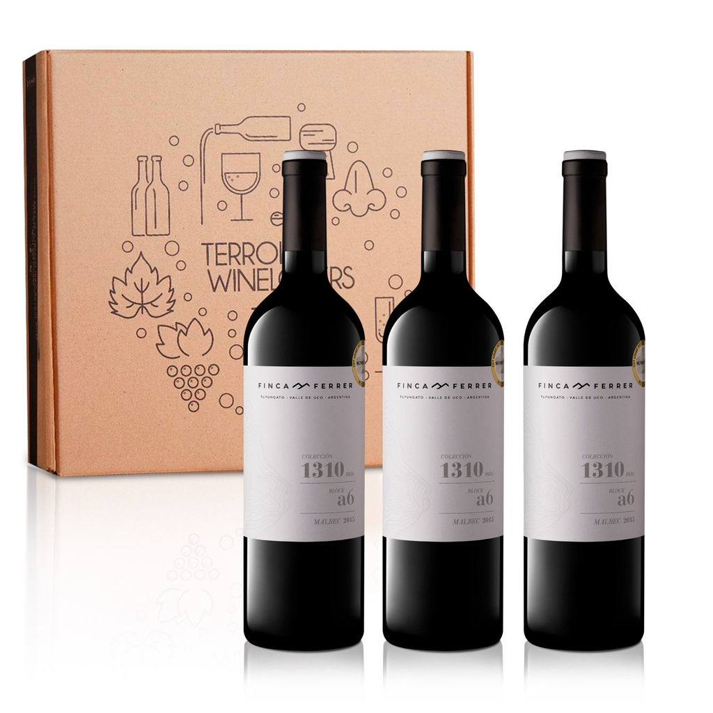 Vino Coleccion 1310 Malbec 750ml
