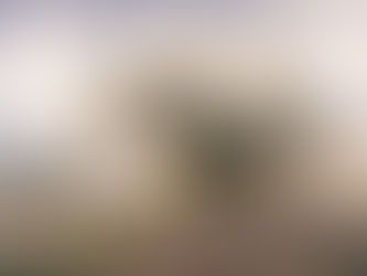 Twin Falls Proposal Ideas: How to Plan a Romantic, Meaningful Proposal in Southern Idaho