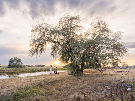 Twin Falls Proposal Ideas: How to Plan a Romantic, Meaningful Proposal in Southern Idaho