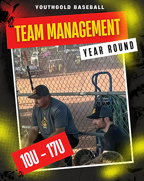 Team management YG.png