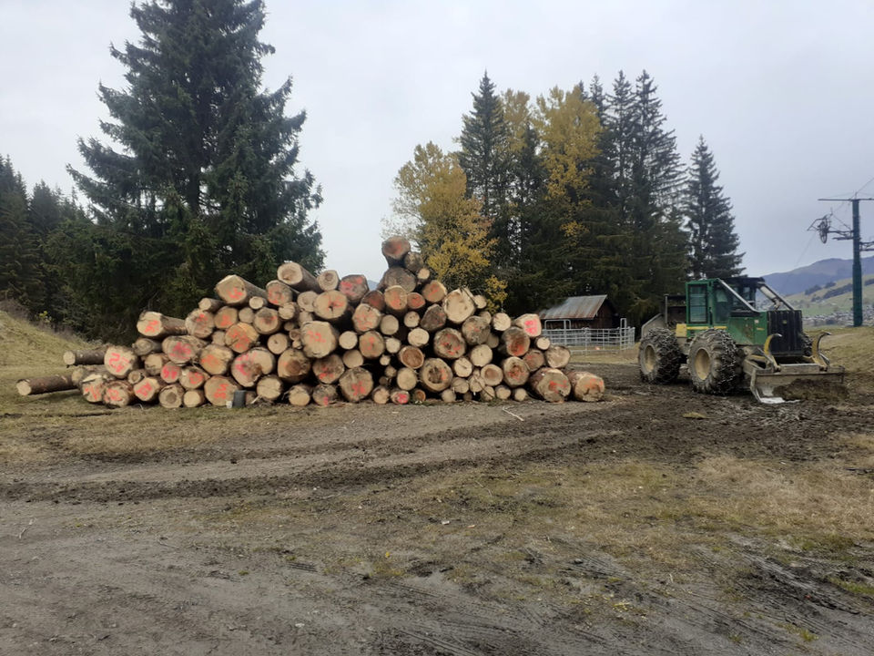 WhatsApp Image 2022-06-03 at 14.43.42.jpeg