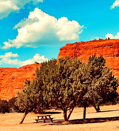 unnamed-4 copy_edited_edited.jpg