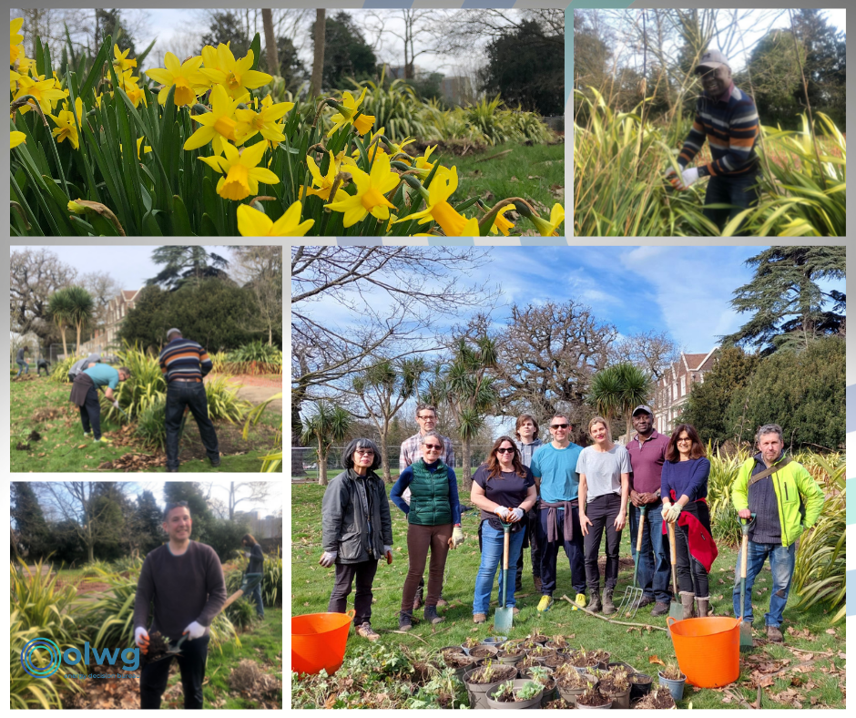 Team Olwg Volunteering in Boston Manor Park Brentford