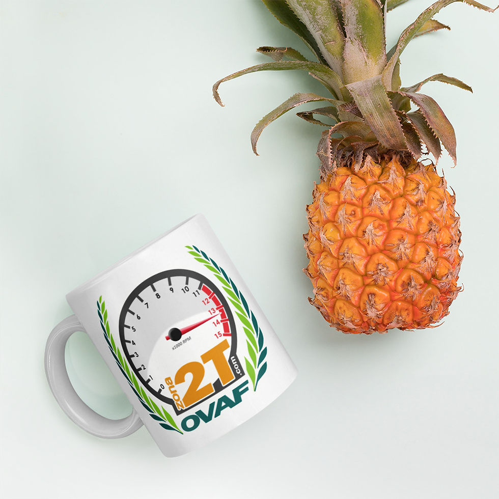 Thumbnail: Taza Zona 2T