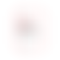 Initiative «Keine 10-Millionen-Schweiz»