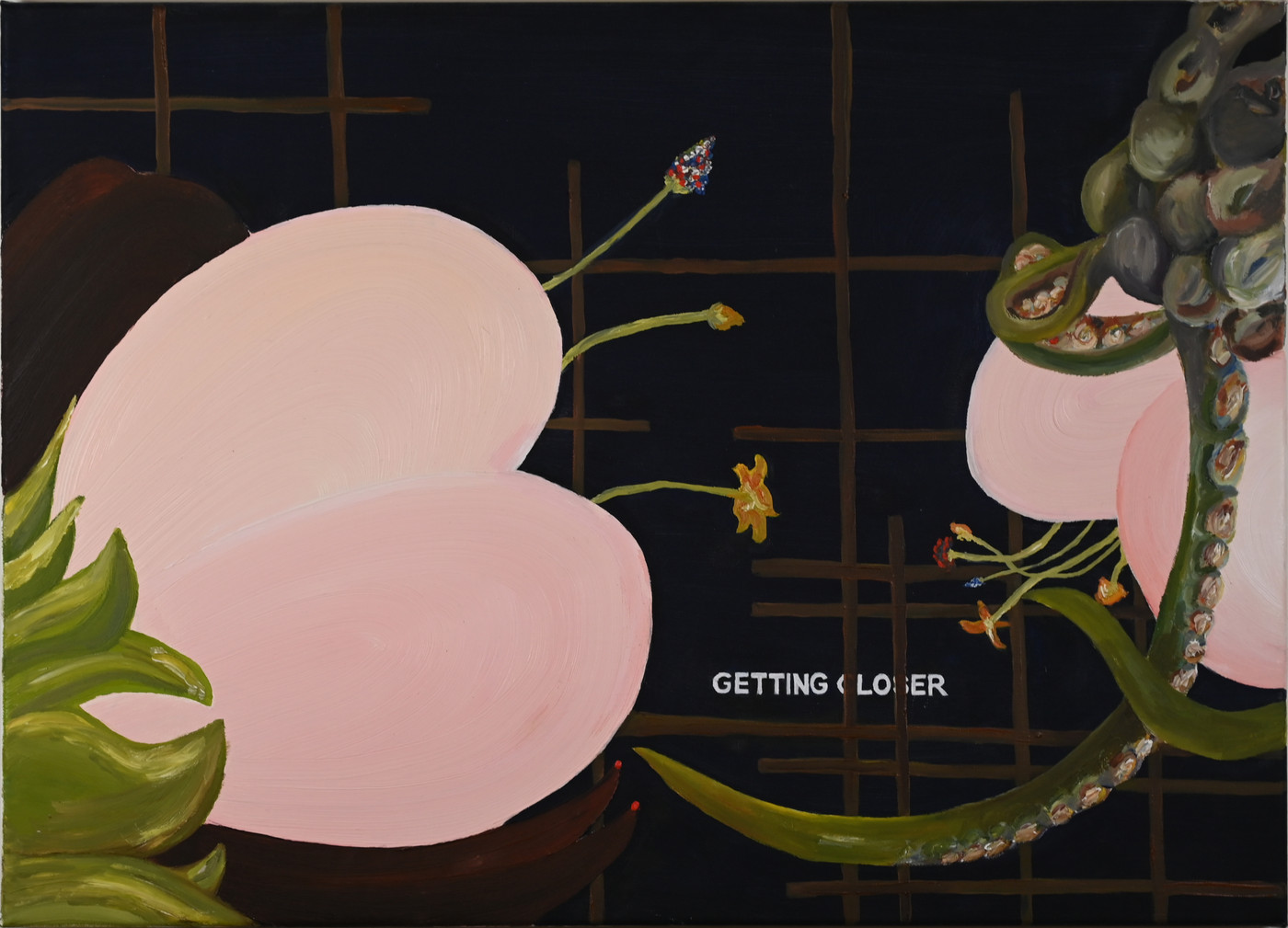 Laure Prouvost, The hidden spring collection, Getting Closer