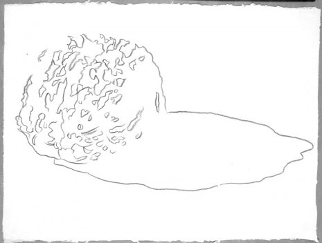 Andy Warhol, Space Fruit