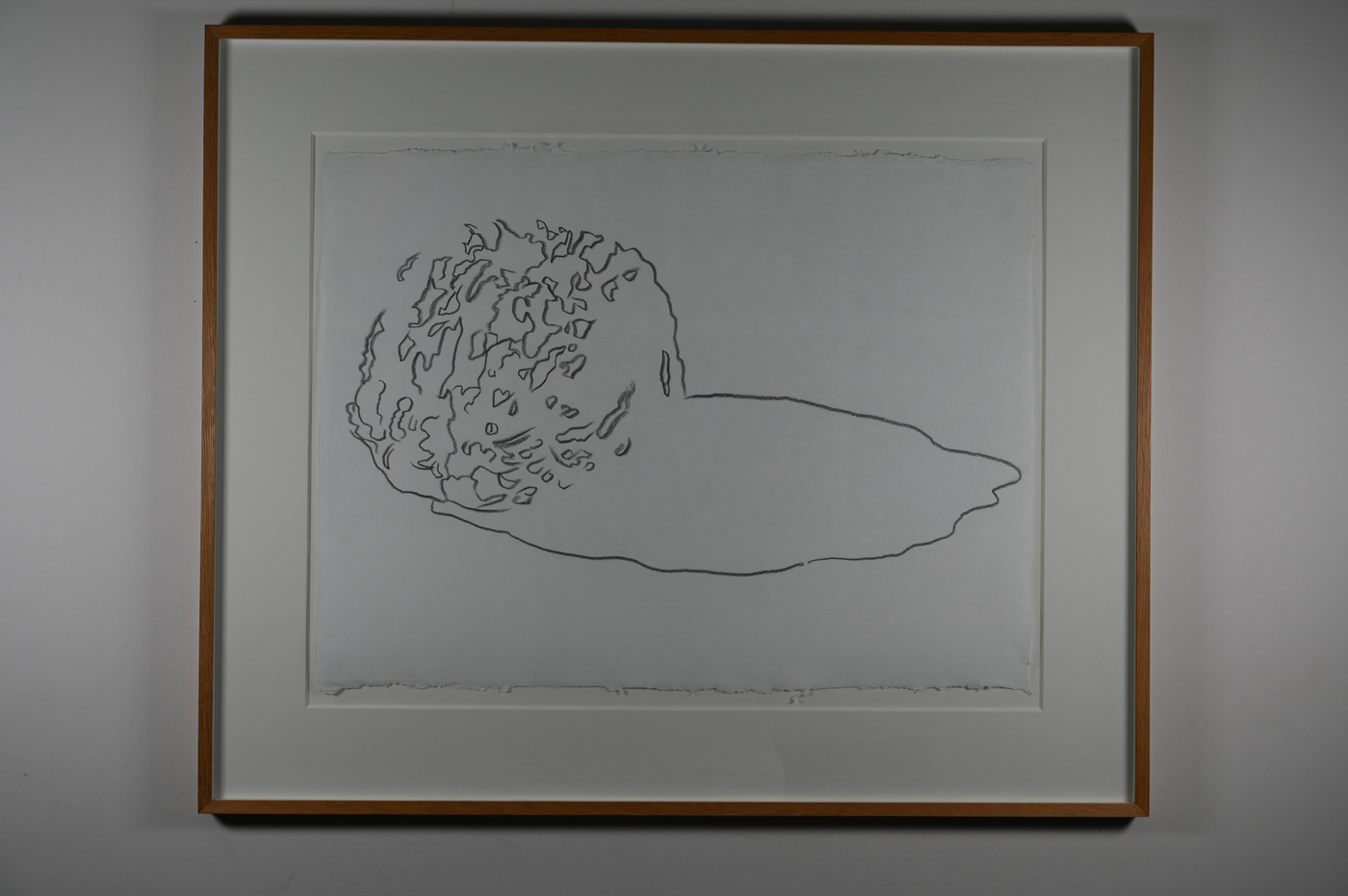 Andy Warhol, Space Fruit