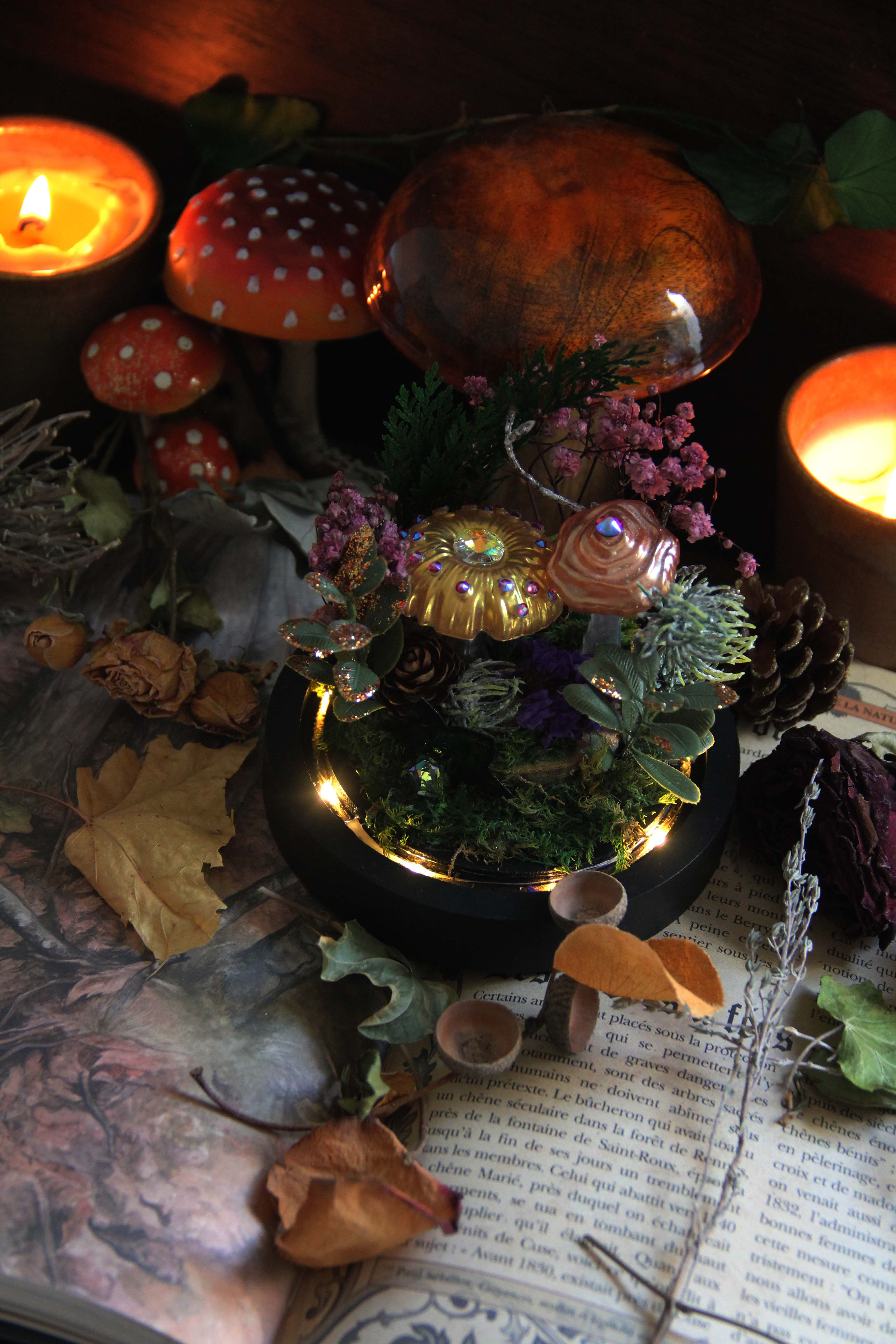 Mini cloche lumineuse "Champignons féeriques"
