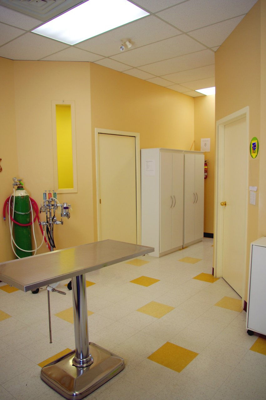 Treatment Room 3.jpg