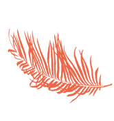 Path 6471.png