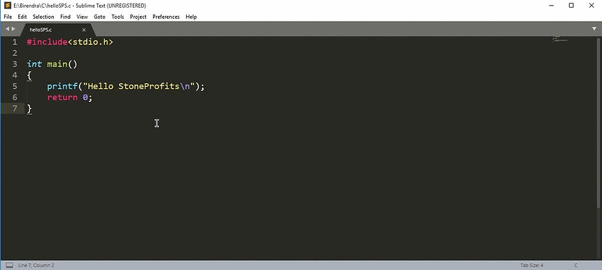 CompilerInSublimeText.gif