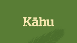 Tainui slam Waikato river water take for Auckland, affirm Three Waters support