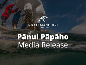 Seven million kūtai (mussels) to help rescue Hauraki Gulf/Te Moananui-ā-Toi ecosystem