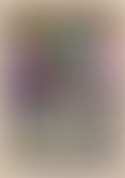  「 おかやま晴レ国フェス 2022 」開催します！