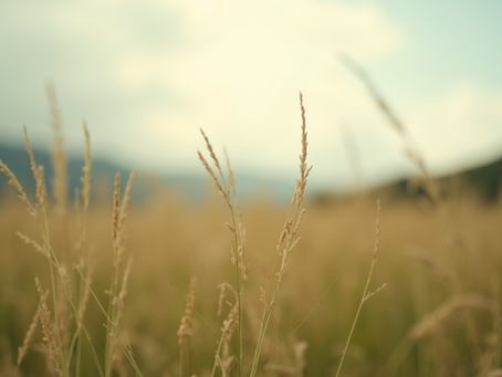 Exploring Ethereal AI Visuals: A Minimalist Approach