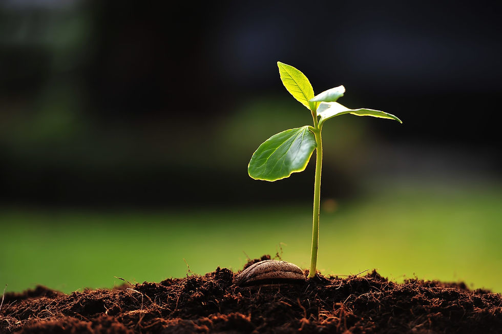 New-Beginnings-scaled.jpg