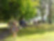 Story Friday Goes Walking 13.jpg