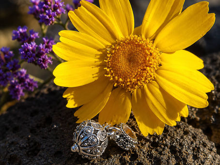 Where can I buy Sardinian charms online?