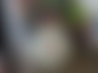 Las 10 preguntas más buscadas sobre la filigrana sarda