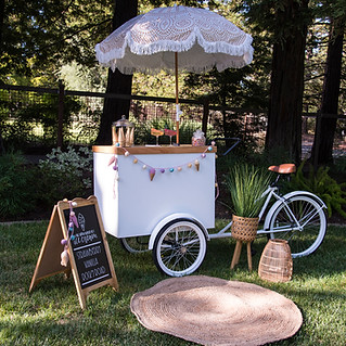 Ice cream bike