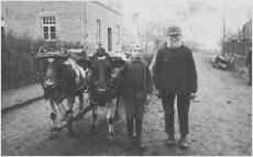 landwirtschaft5_sbp.jpg