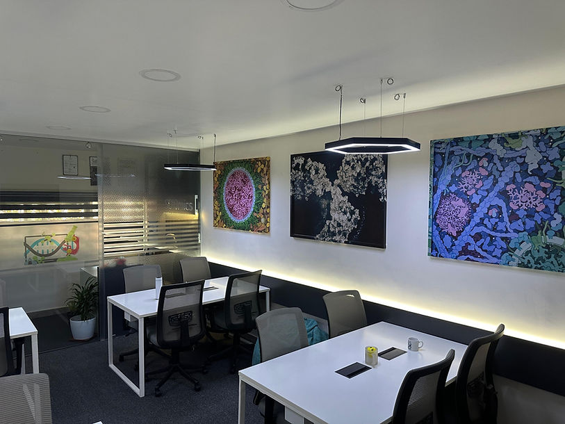 WhatsApp Image 2024-12-26 at 12.55.56 AM.jpeg