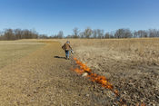 Prescribed burn by Dream Dirt