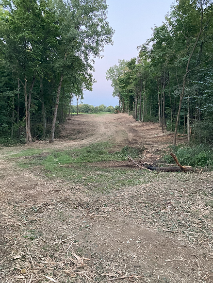 Trail cleared by Bush Badger