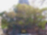 The Mahabodhi Tree at the Sri Mahabodhi Temple