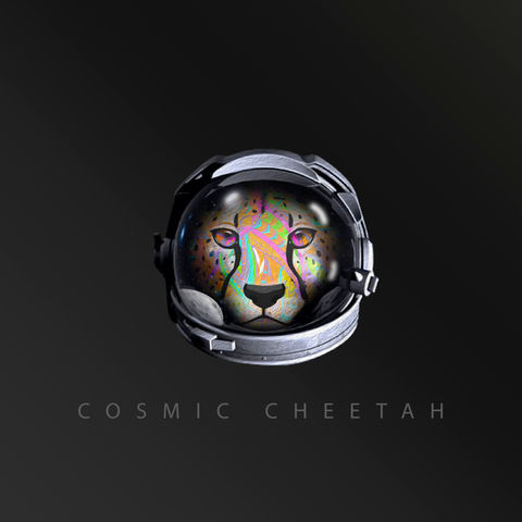 WEB DESIGN & SEO Toronto