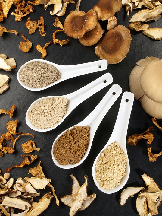 SPOON MUSHROOM.png