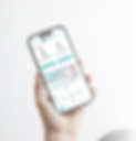 Website (2).png