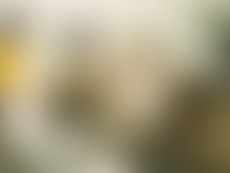 跨文化的宣教:巴柝聲牧師