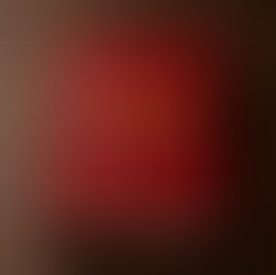 宗教法更新 境內外國人宗教活動細則