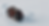 KDGS_22-2048x1106.png