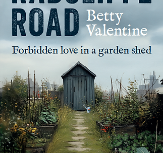 Radcliffe Road eBook