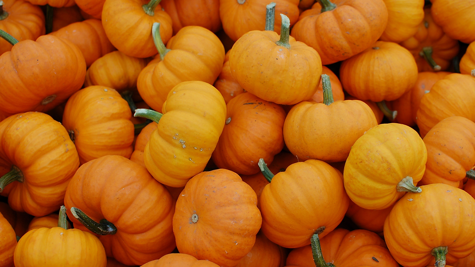 Pumpkins