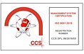 DFL Crest ISO 9001 (002).png