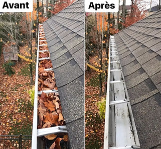 nettoyage de gouttière