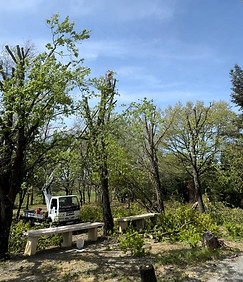 IMG-20250411-WA0017.jpg