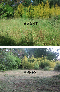 Débroussaillage terrain