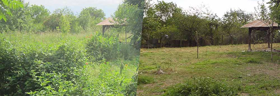 débroussaillage de terrain
