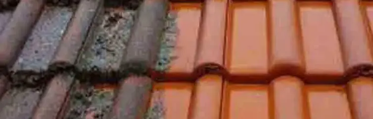 nettoyage-toiture (2).webp