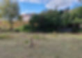 débroussaillage terrain