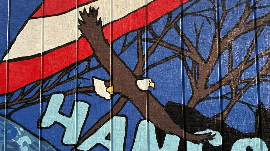 Bald Eagle.JPEG
