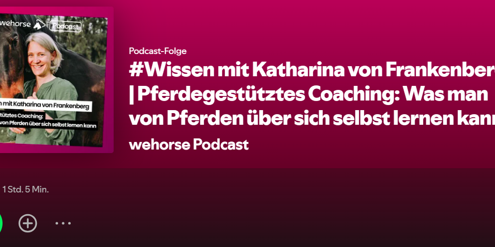 Screenshot Podcast.png
